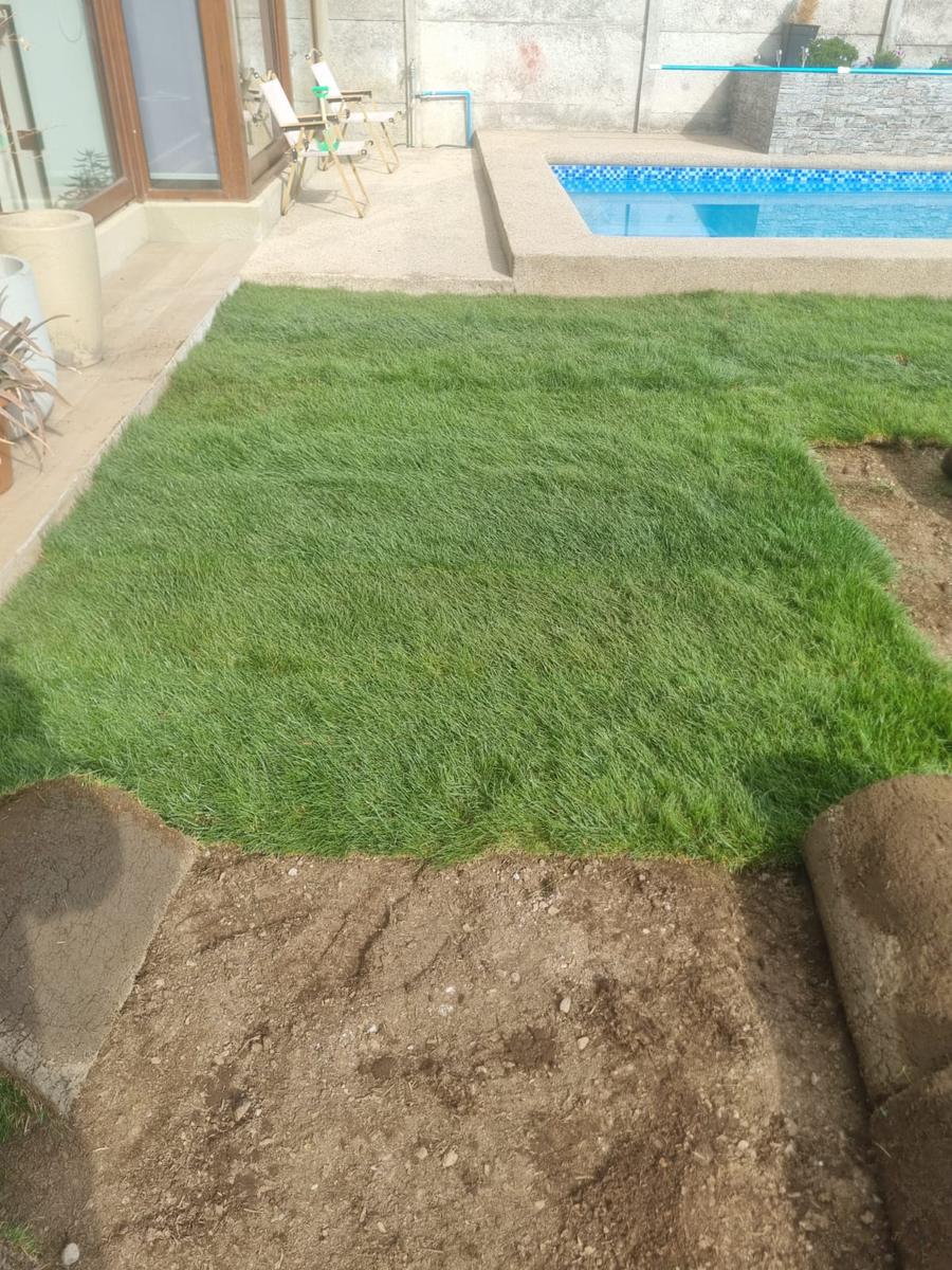 Pasto en rollo alto tráfico premium realizado por Jardines Medina